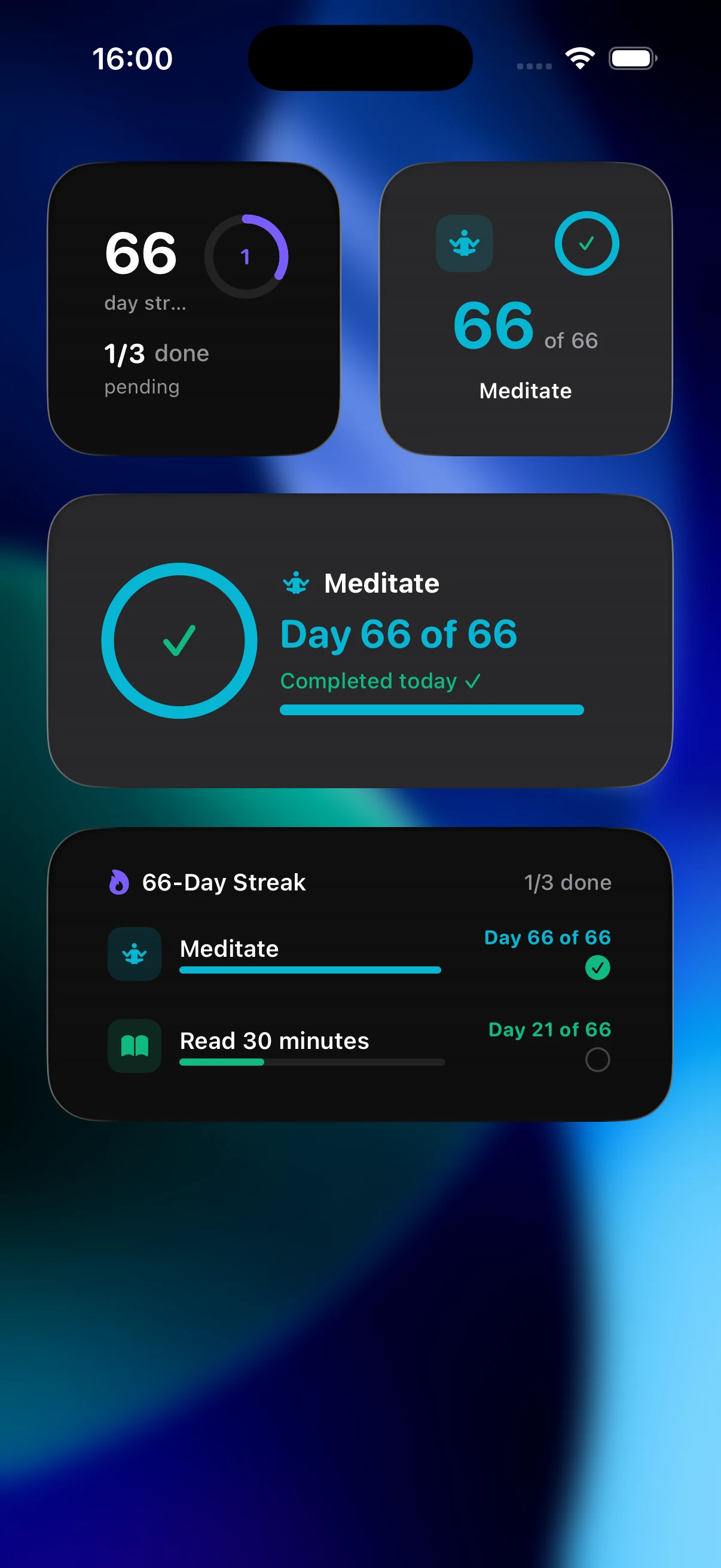 66 Streaks widgets on an iPhone Home Screen